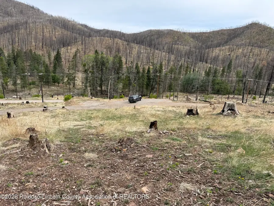 1129 Main Road, Ruidoso, NM 88345 - #3