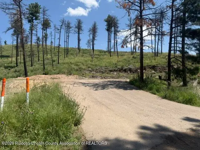 101 University Drive, Ruidoso, NM 88345 - #3