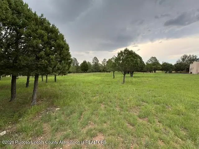 L2, B8 Sage Road, Alto, NM 88312 - #3
