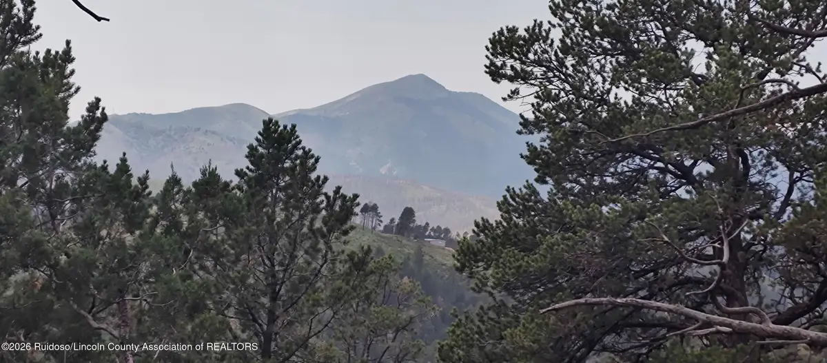 341 Lakeshore Drive, Alto, NM 88312 - #1