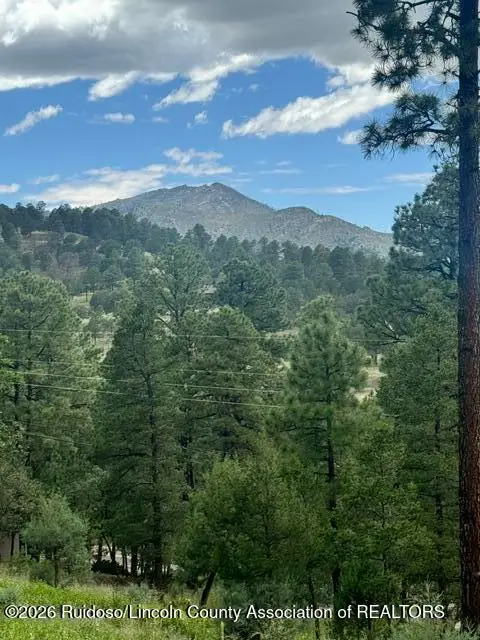 Lot 4 Alto Drive, Alto, NM 88312 - #1