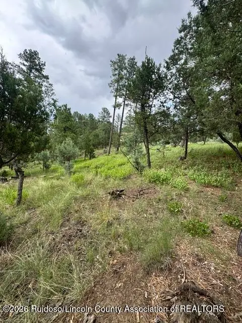 Lot 4 Alto Drive, Alto, NM 88312 - #2