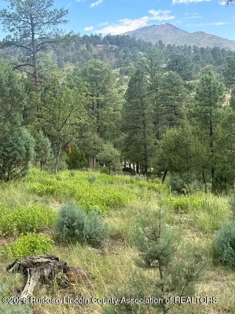 Lot 4 Alto Drive, Alto, NM 88312 - #3
