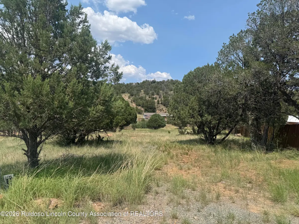 118 Cowboy Court, Alto, NM 88312 - #1