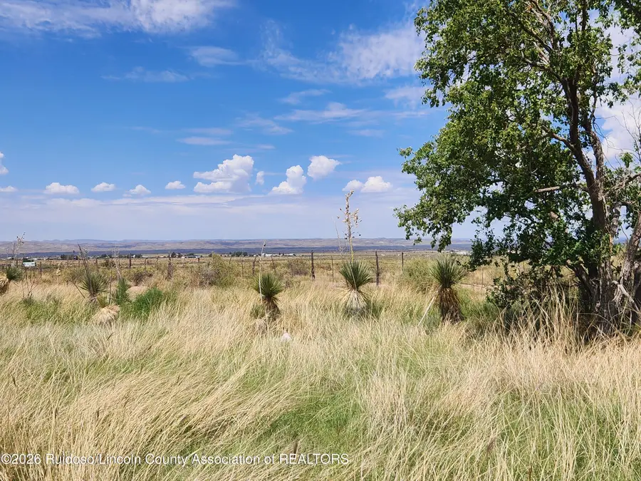 1101 17th Street, Carrizozo, NM 88301 - #2