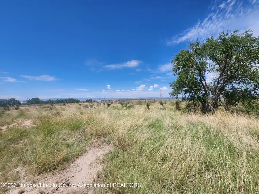 1101 17th Street, Carrizozo, NM 88301 - #3