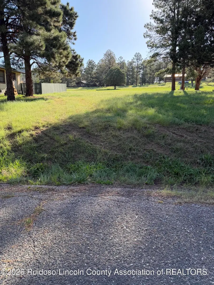 106 Bogie Lane, Ruidoso, NM 88345 - #3