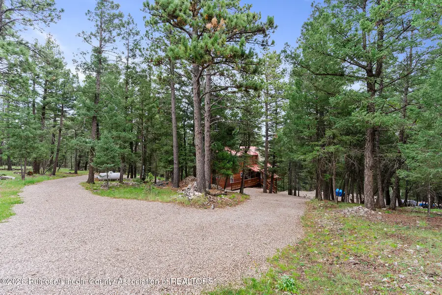87 Big Dipper Road, Cloudcroft, NM 88317 - #3