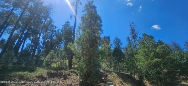 117 Oak Grove Place, Ruidoso, NM 88345