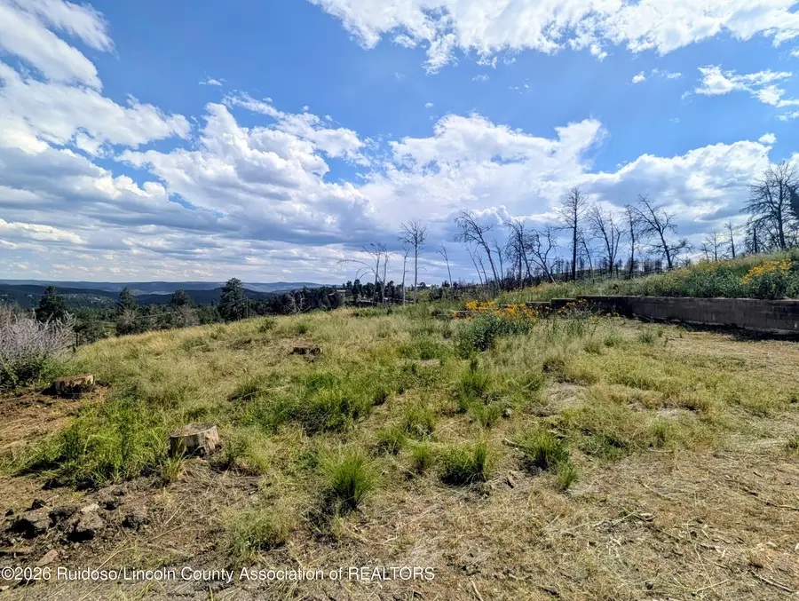 113 Kaibab Drive, Ruidoso, NM 88345 - #3