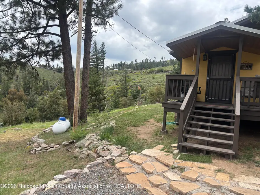 115 Metzger Road, Alto, NM 88312 - #2