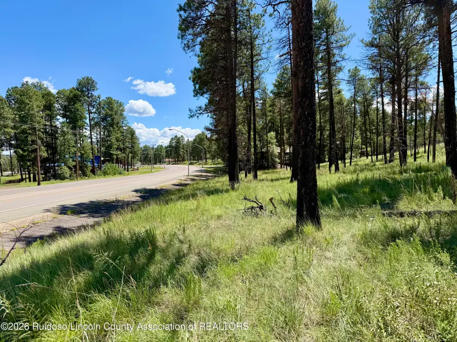 1227&1229 Mechem Drive, Ruidoso, NM 88345 - #3