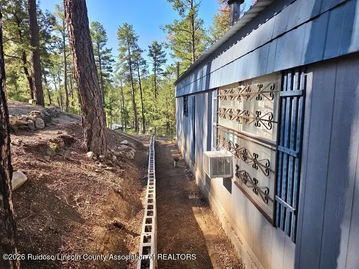 115 N Candlewood Drive, Ruidoso, NM 88345 - #3