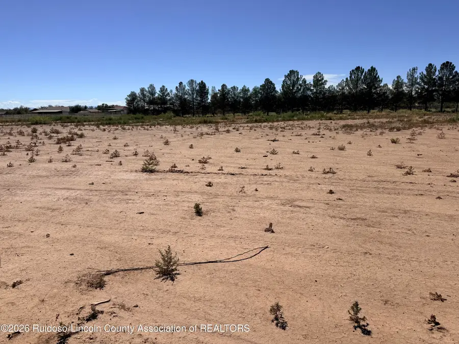 47 St Francis Drive, Tularosa, NM 88352 - #3