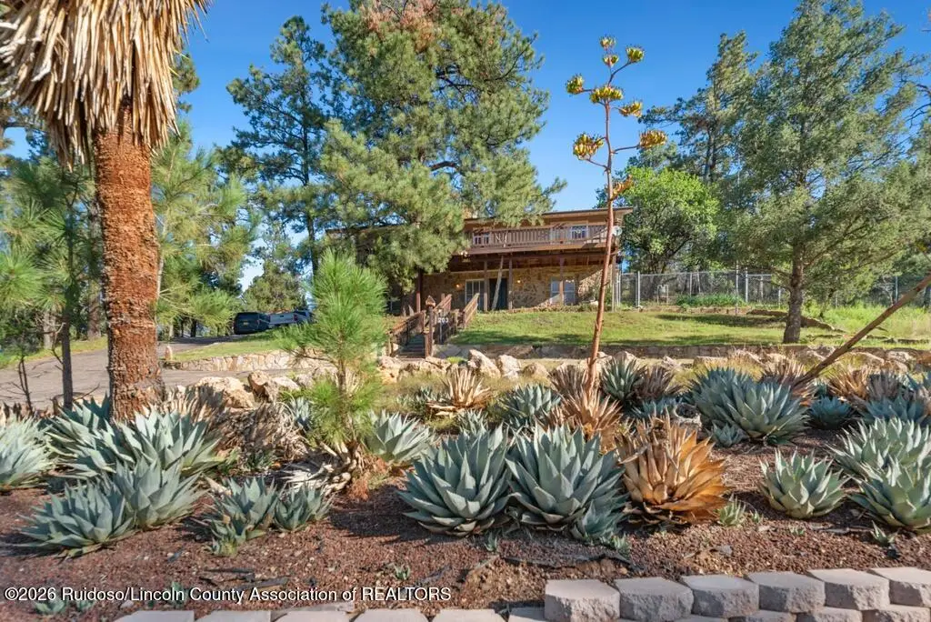 203 Cree Meadows Drive, Ruidoso, NM 88345 - #1