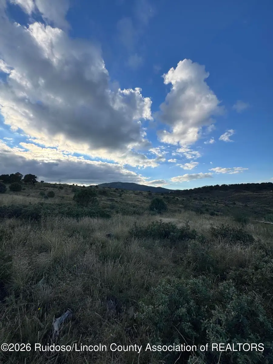 159 Wolf Creek Road, Nogal, NM 88341 - #3