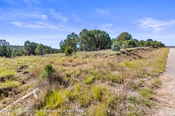 2B & 3A Hwy 220, Alto, NM 88312