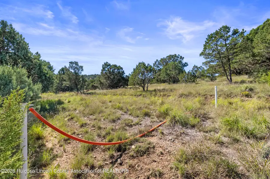 2B & 3A Hwy 220, Alto, NM 88312 - #2