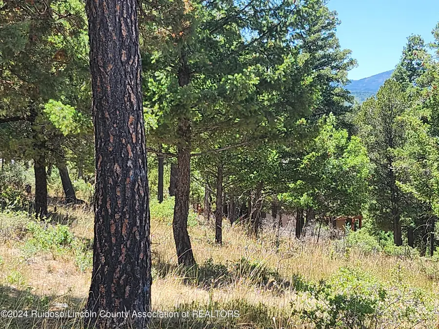 302 Cummings Drive, Ruidoso, NM 88345 - #3