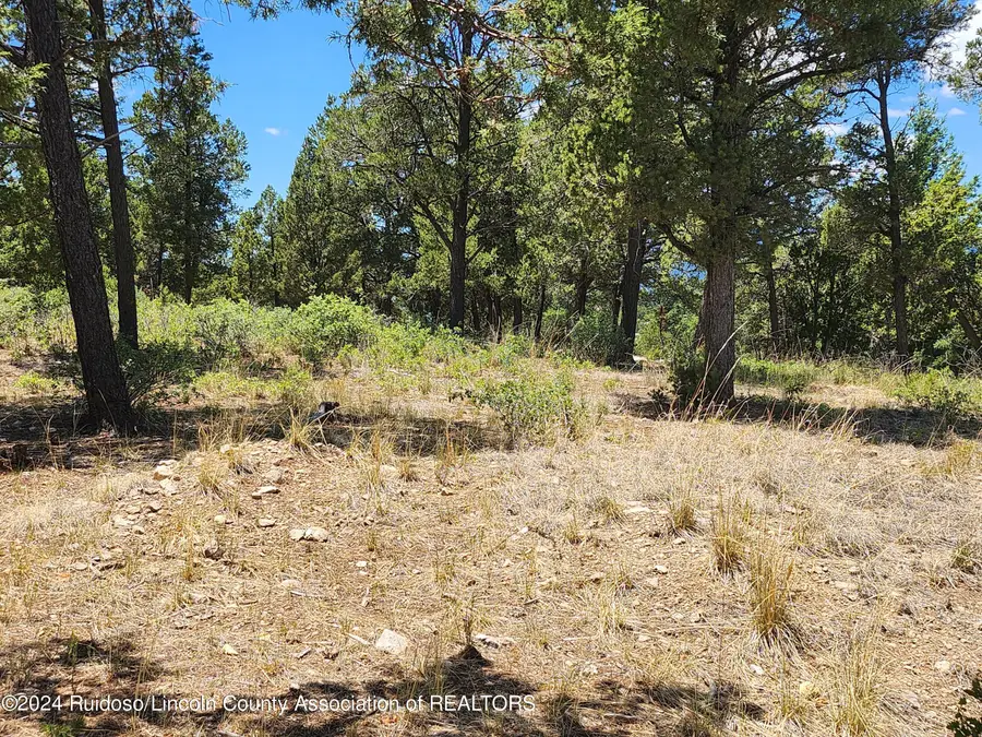 306 Cummings Drive, Ruidoso, NM 88345 - #2