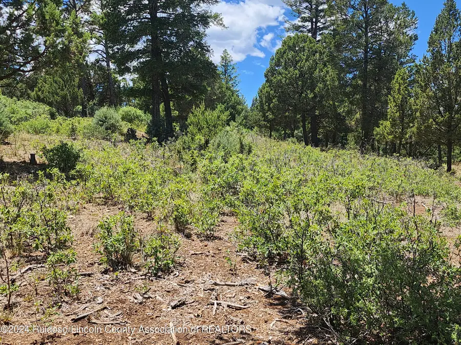 306 Cummings Drive, Ruidoso, NM 88345 - #3