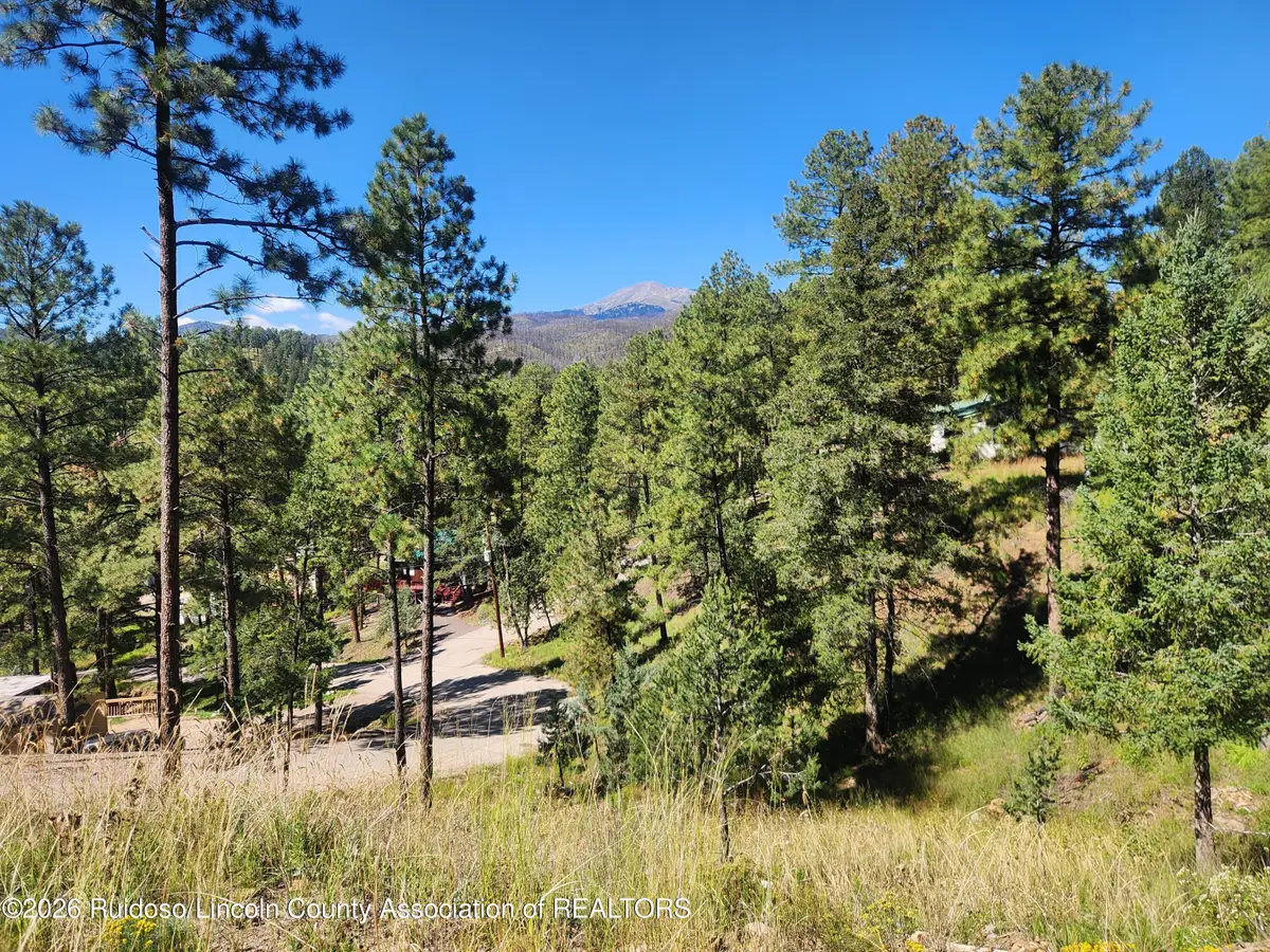113 N Oak Drive, Ruidoso, NM 88345 - #1