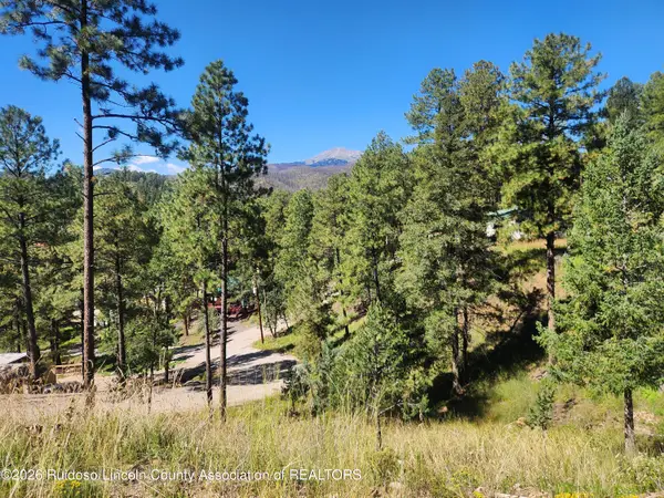 113 N Oak Drive, Ruidoso, NM 88345