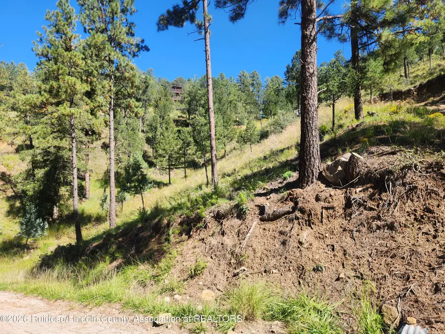 113 N Oak Drive, Ruidoso, NM 88345 - #3
