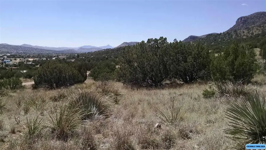 258 Rio Vista, Mimbres, NM 88049 - #2