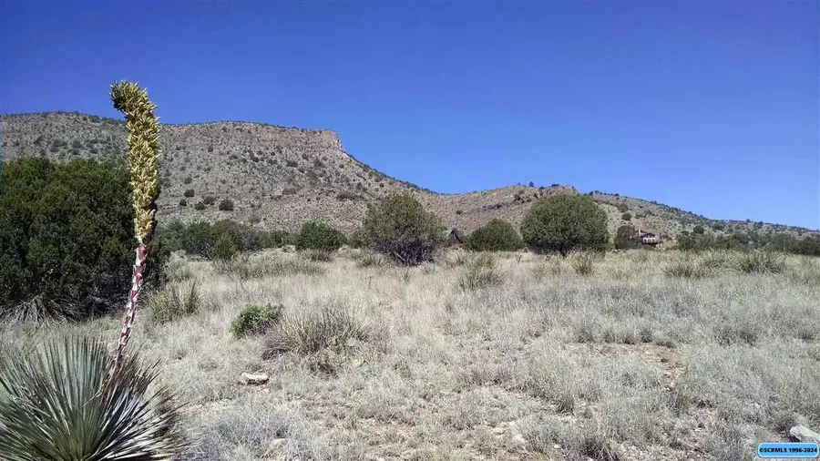 258 Rio Vista, Mimbres, NM 88049 - #3