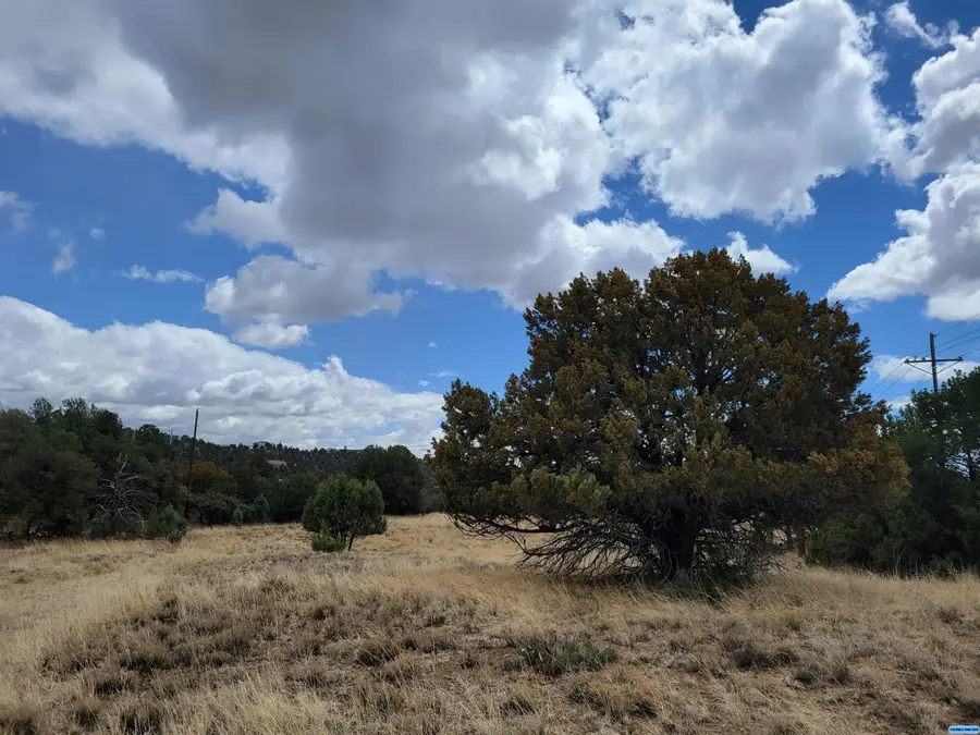 Cain Drive Drive, Silver City, NM 88061 - Image #2