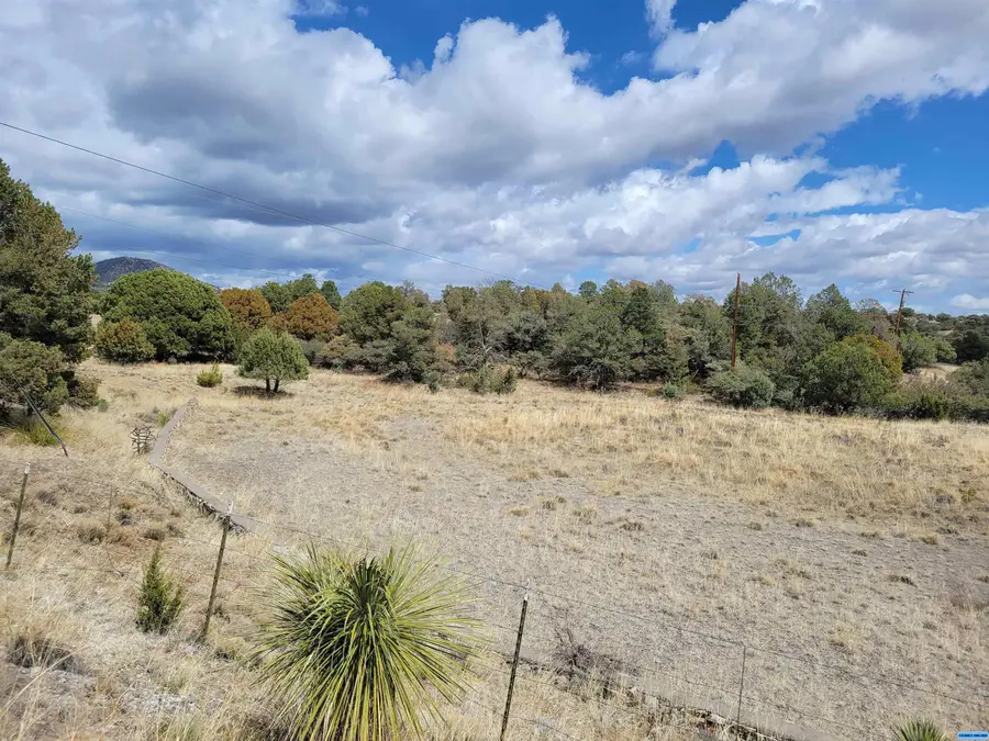 Cain Drive Drive, Silver City, NM 88061 - Image #3