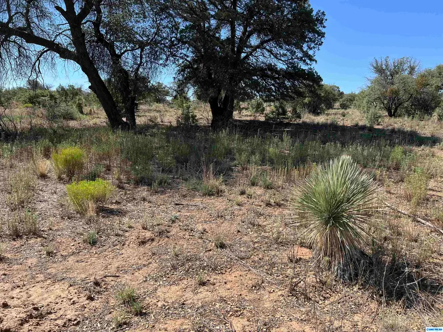 1X Chaparral Trail, Silver City, NM 88061 - Image #2