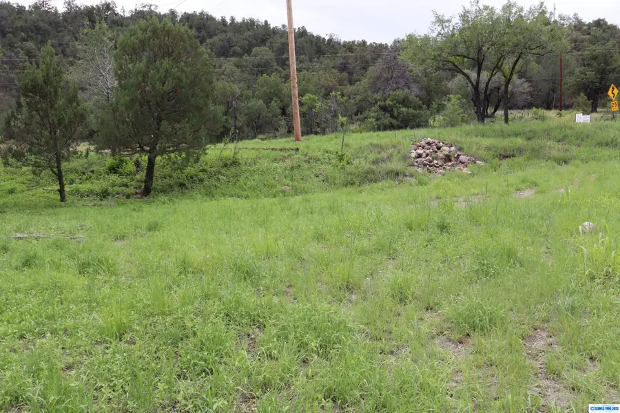 0000 Kingston Main, Kingston, NM 88042 - Image #3