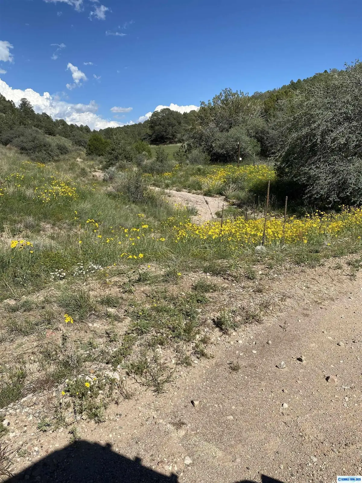 47 Rogers Dr, Silver City, NM 88061 - Image #1