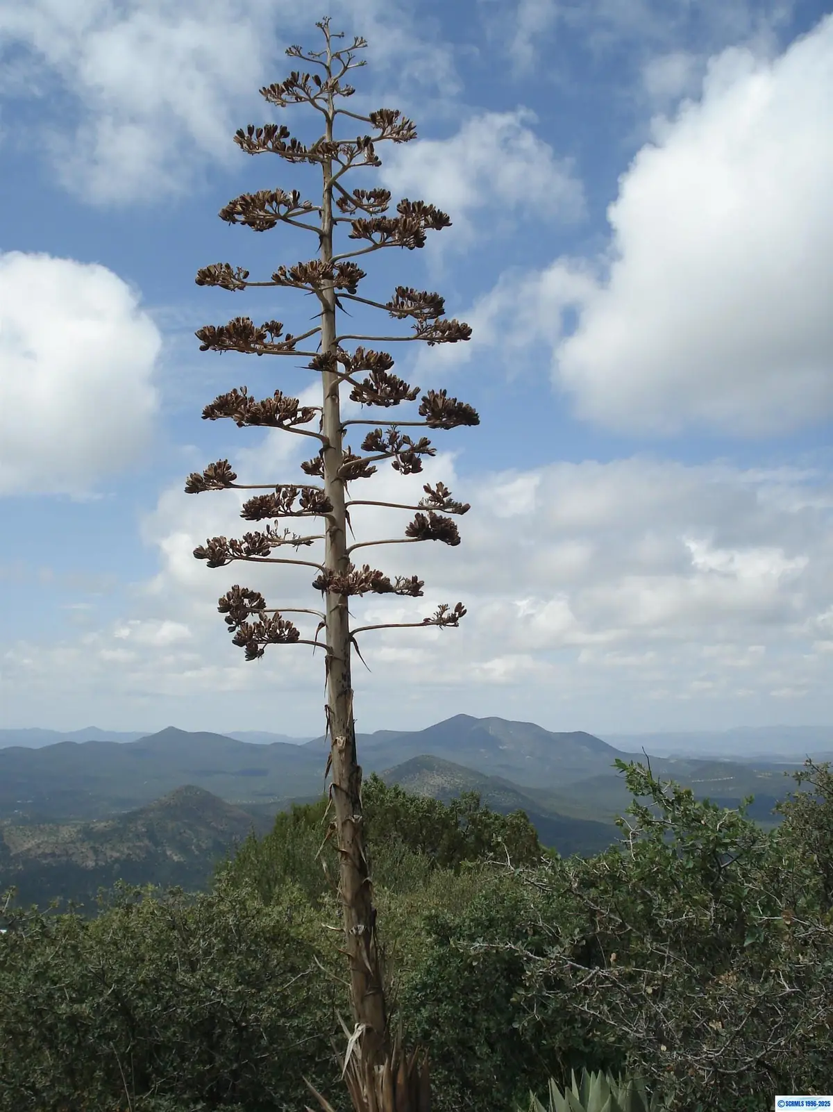 Address Withheld By Seller, Silver City, NM 88061 - Image #1