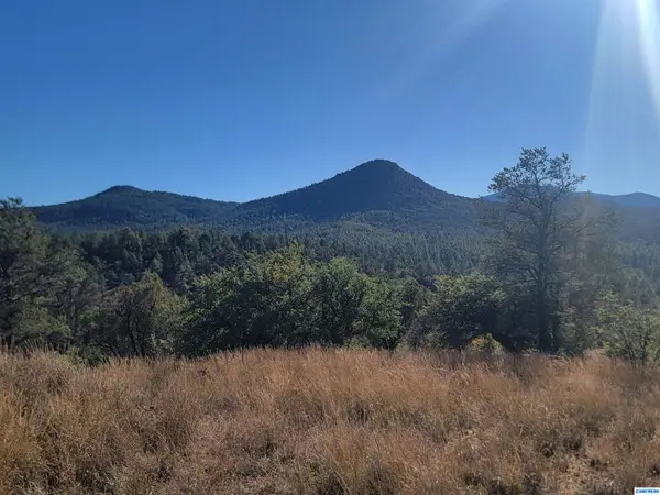 Address Withheld By Seller, Silver City, NM 88061