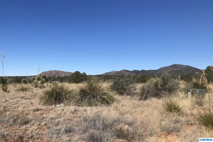 XX Mesita Circle, Silver City, NM 88061 - Image #3