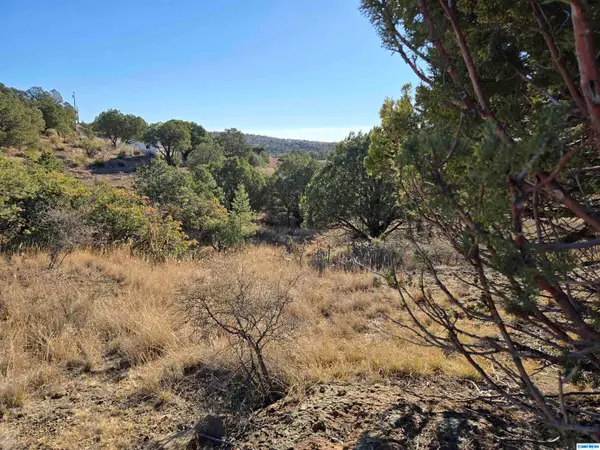 XX Cottonwood Road, Silver City, NM 88061