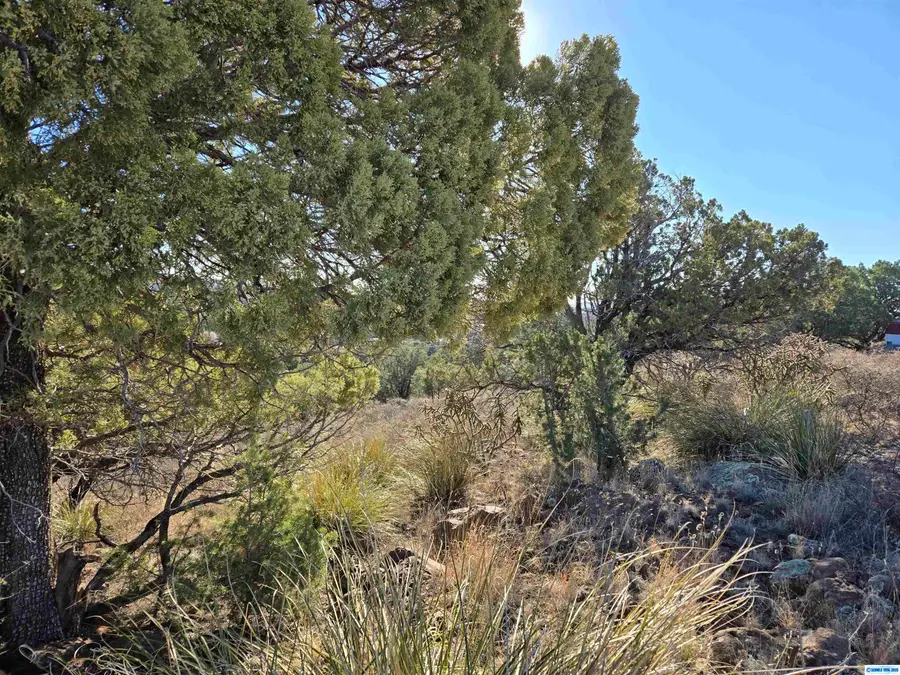 XX Cottonwood Road, Silver City, NM 88061 - Image #2