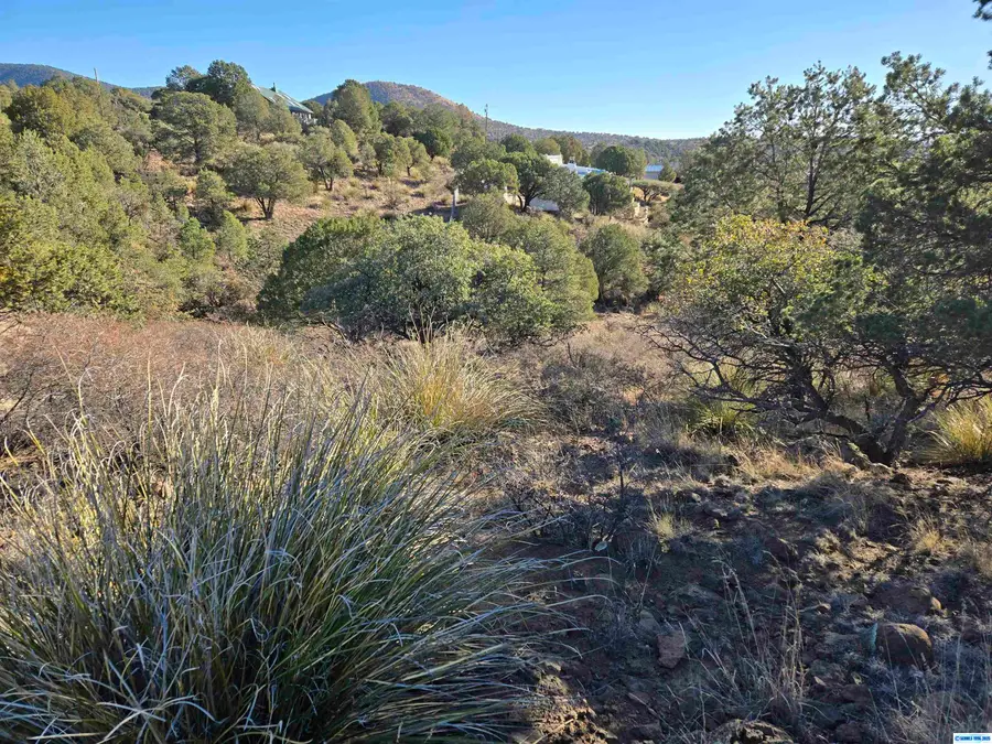XX Cottonwood Road, Silver City, NM 88061 - Image #3