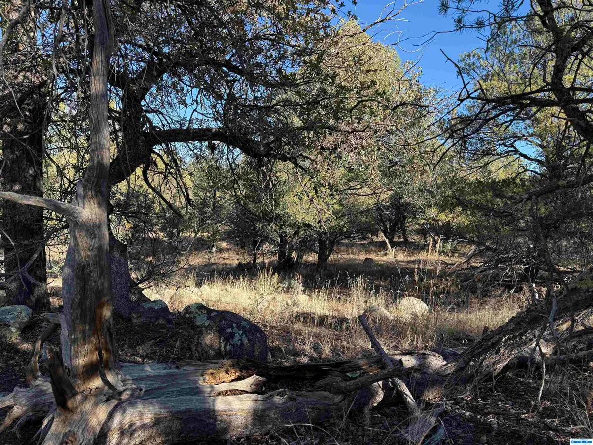28 Linda Road, Silver City, NM 88061 - Image #1