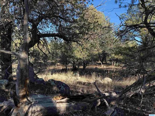 28 Linda Road, Silver City, NM 88061