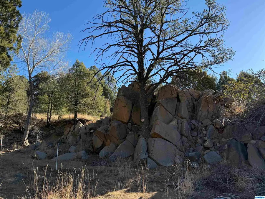 28 Linda Road, Silver City, NM 88061 - Image #3