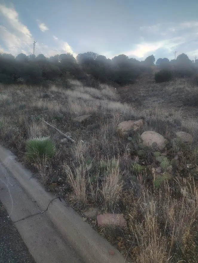 xx Royal Street, Bayard, NM 88023 - Image #2