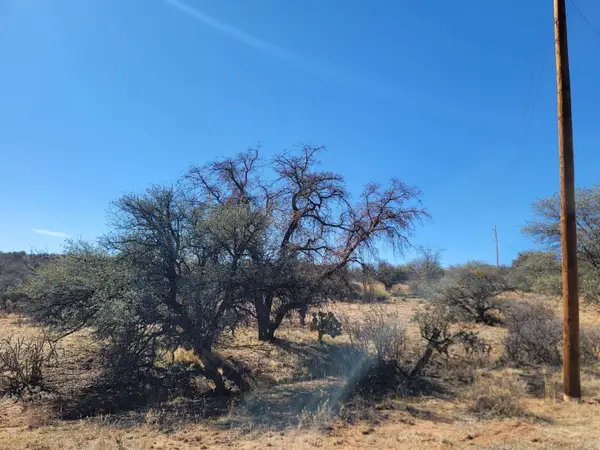 Address Withheld By Seller, Silver City, NM 88061