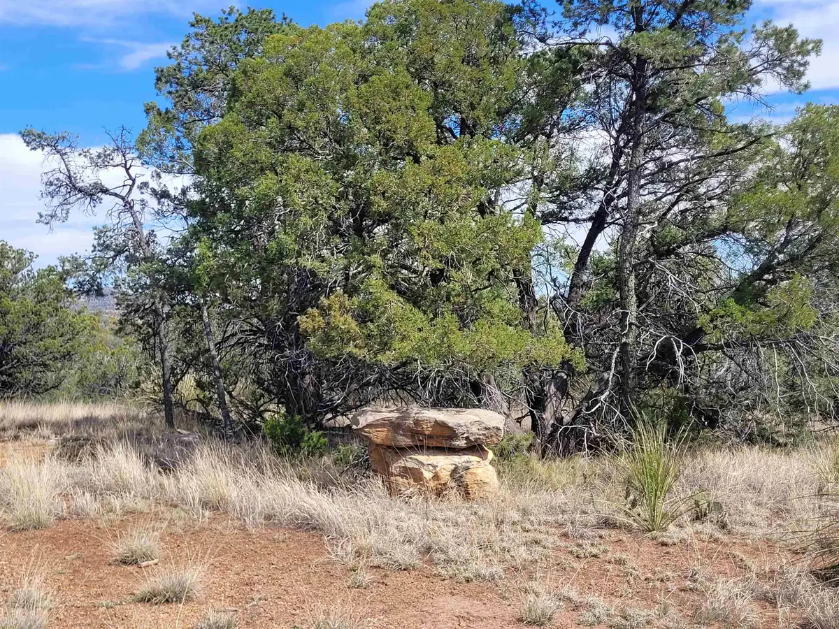 XX Moon Shadow, Hanover, NM 88041 - #1