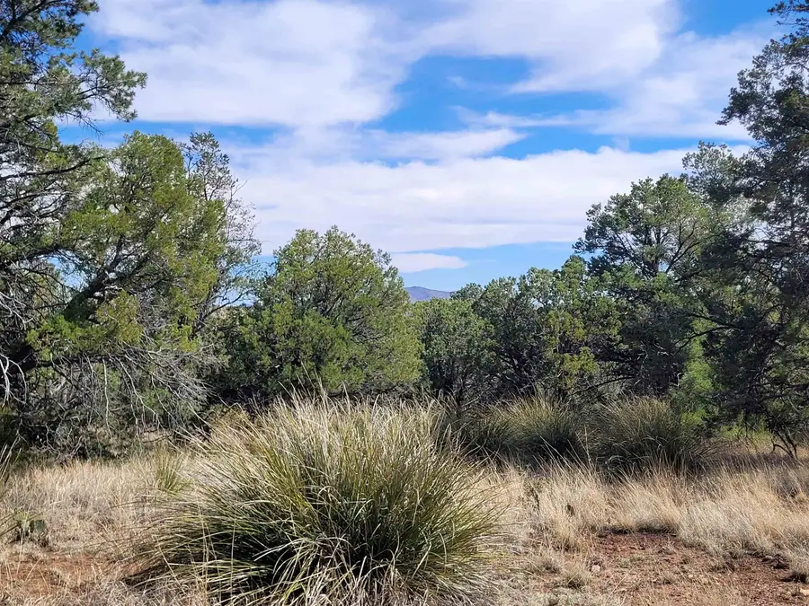 XX Moon Shadow, Hanover, NM 88041 - #2