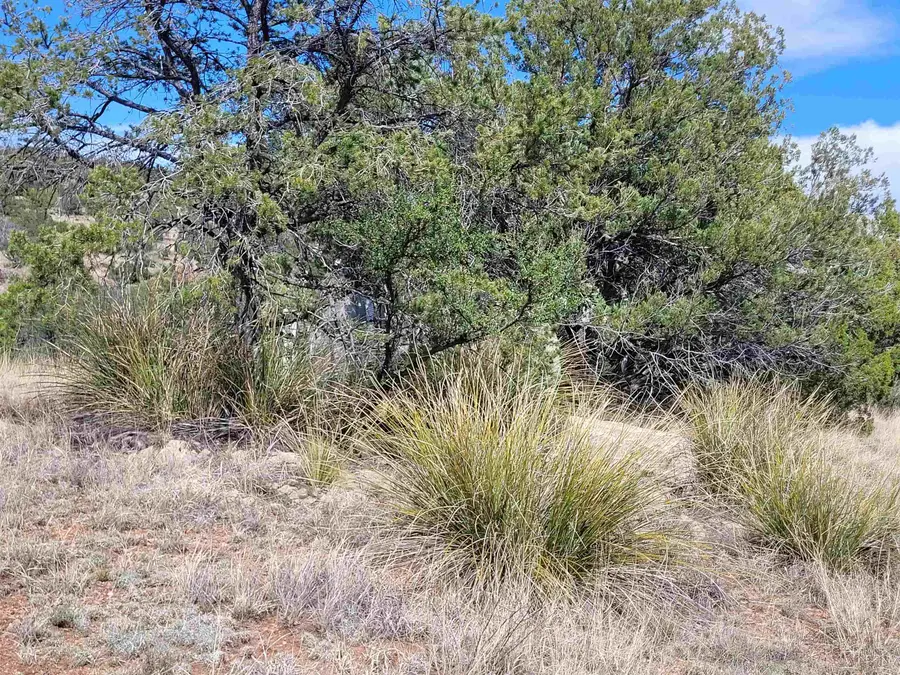 XX Moon Shadow, Hanover, NM 88041 - #3