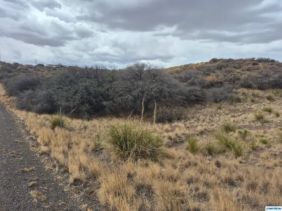 xx Bonita Ave Avenue, Silver City, NM 88061 - Image #3